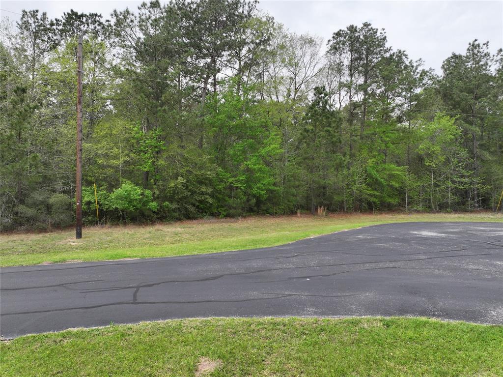 17528 Plantation Dr Dr, Waller, Texas image 9
