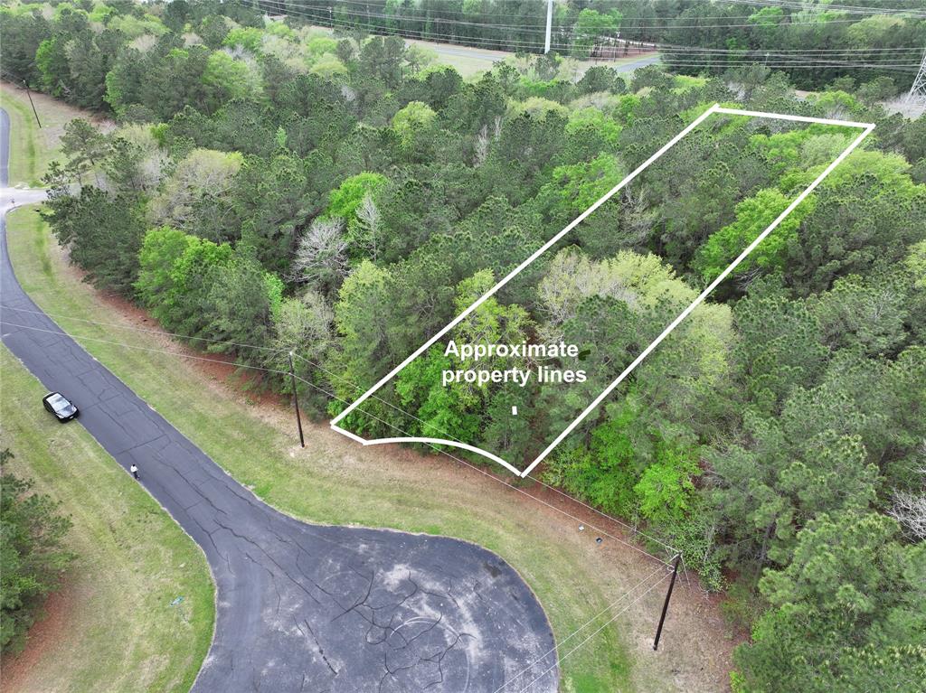 17528 Plantation Dr Dr, Waller, Texas image 1
