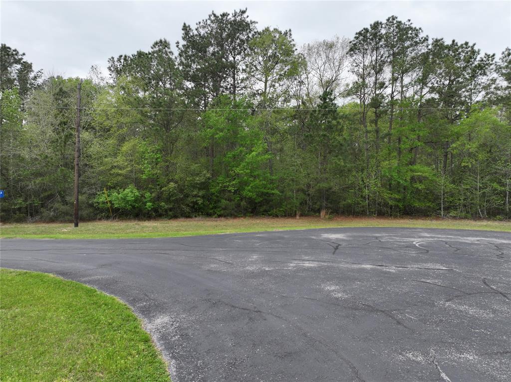 17528 Plantation Dr Dr, Waller, Texas image 3