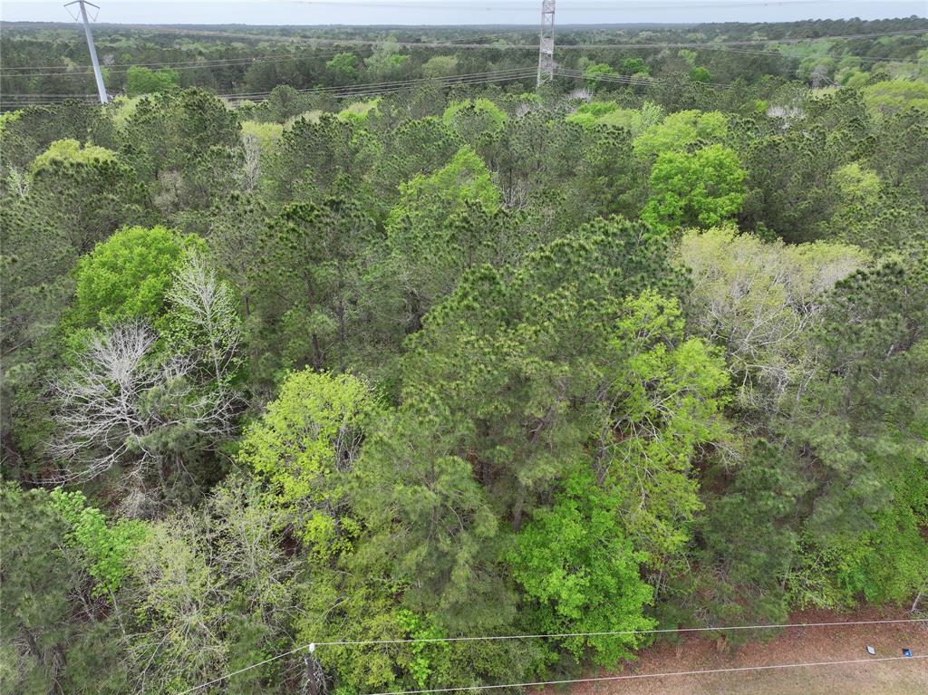 17528 Plantation Dr Dr, Waller, Texas image 6