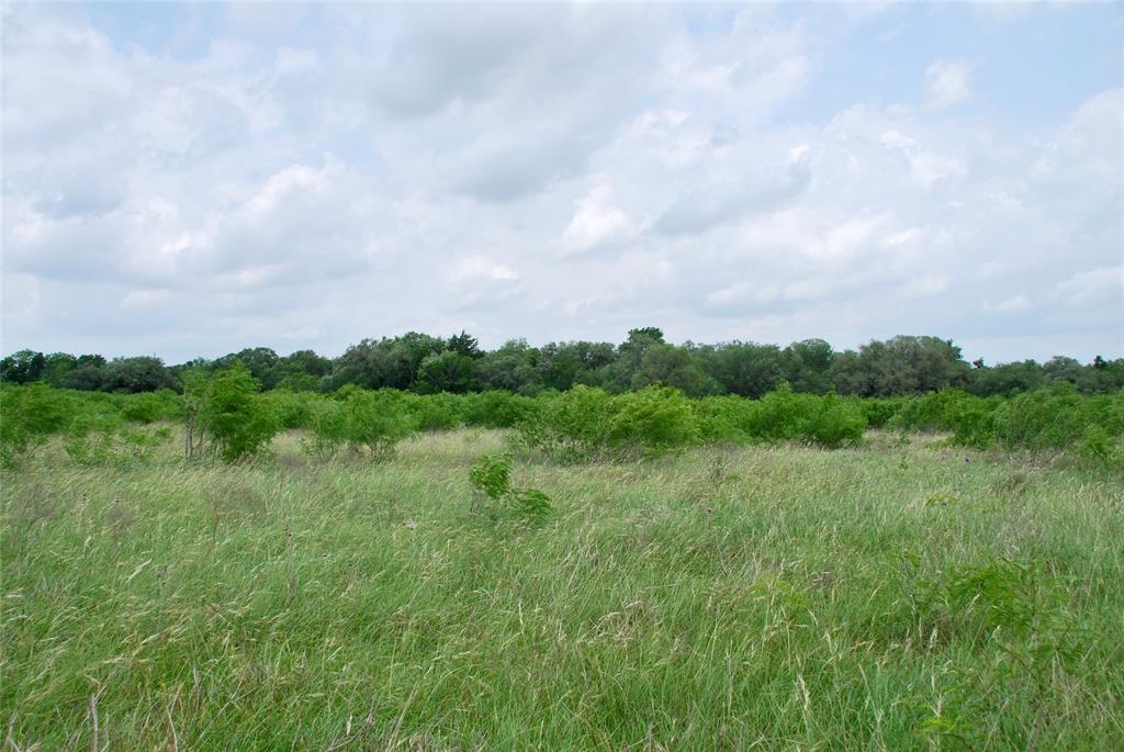 TBD Tract 1 N State Highway 95, Flatonia, Texas image 16