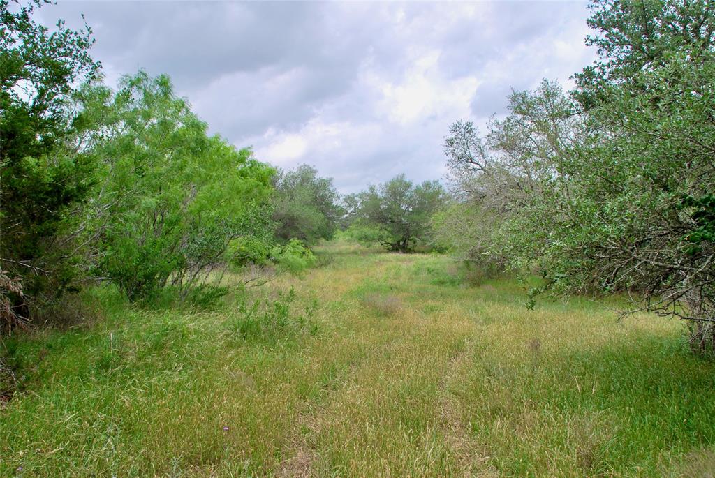 TBD Tract 1 N State Highway 95, Flatonia, Texas image 8