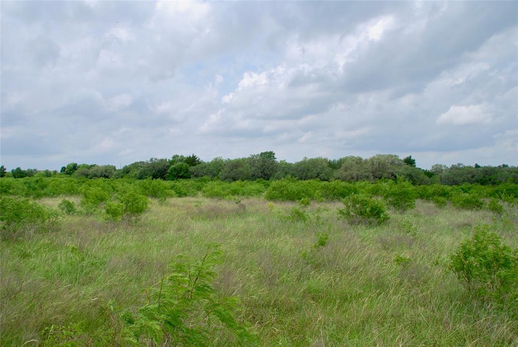 TBD Tract 1 N State Highway 95, Flatonia, Texas image 17