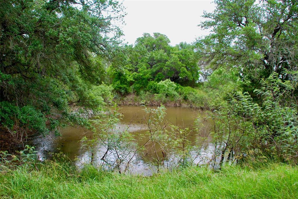 TBD Tract 1 N State Highway 95, Flatonia, Texas image 4
