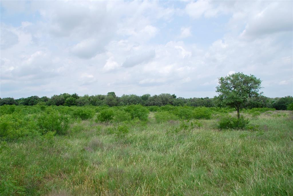 TBD Tract 1 N State Highway 95, Flatonia, Texas image 20