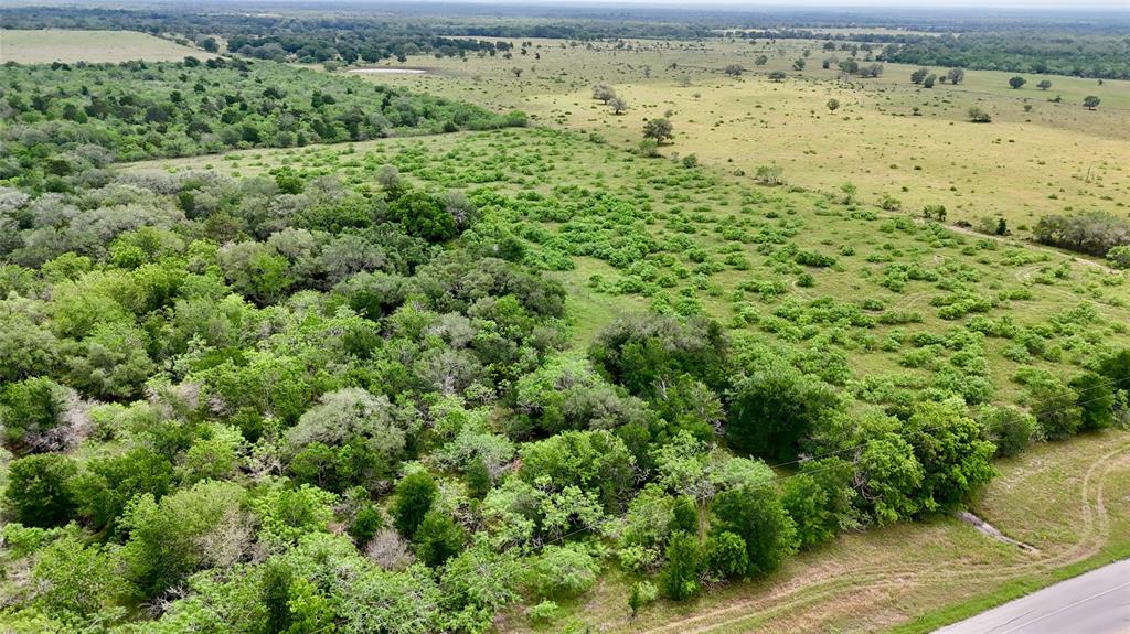TBD Tract 1 N State Highway 95, Flatonia, Texas image 9