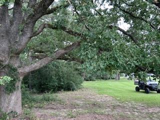 8682 Hidden Place Pl, North Zulch, Texas image 10