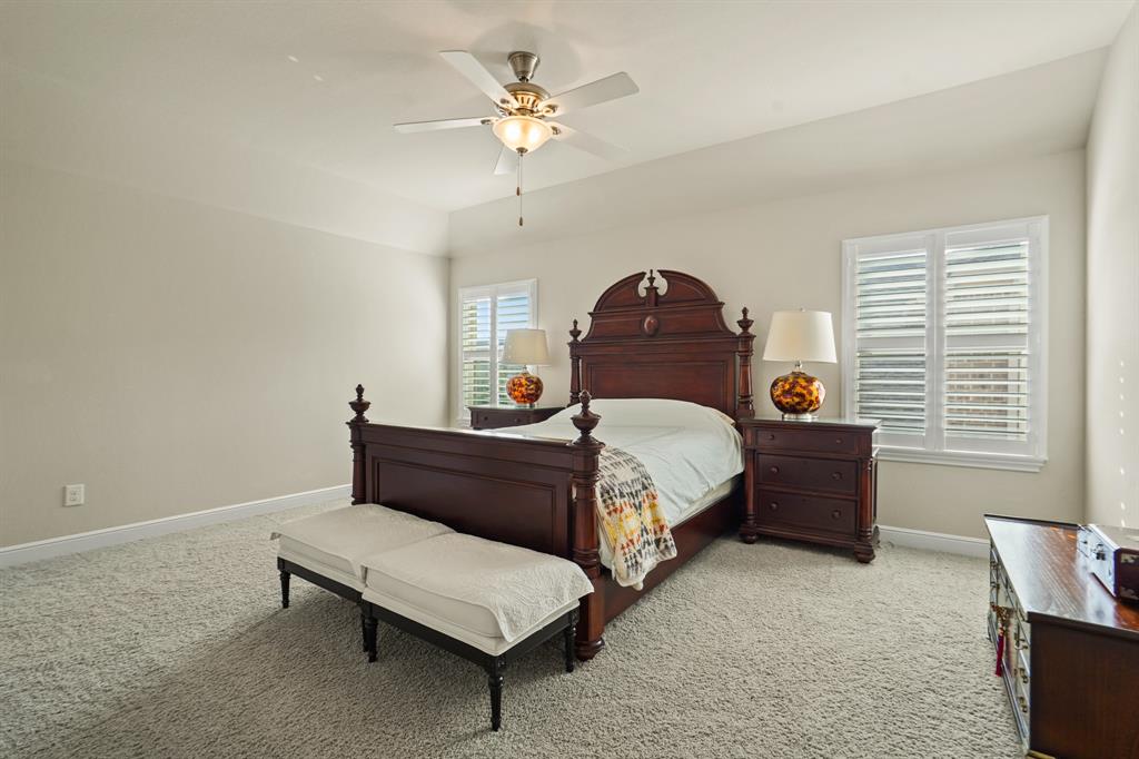 9810 Mount Whitney, Missouri City, Texas image 36
