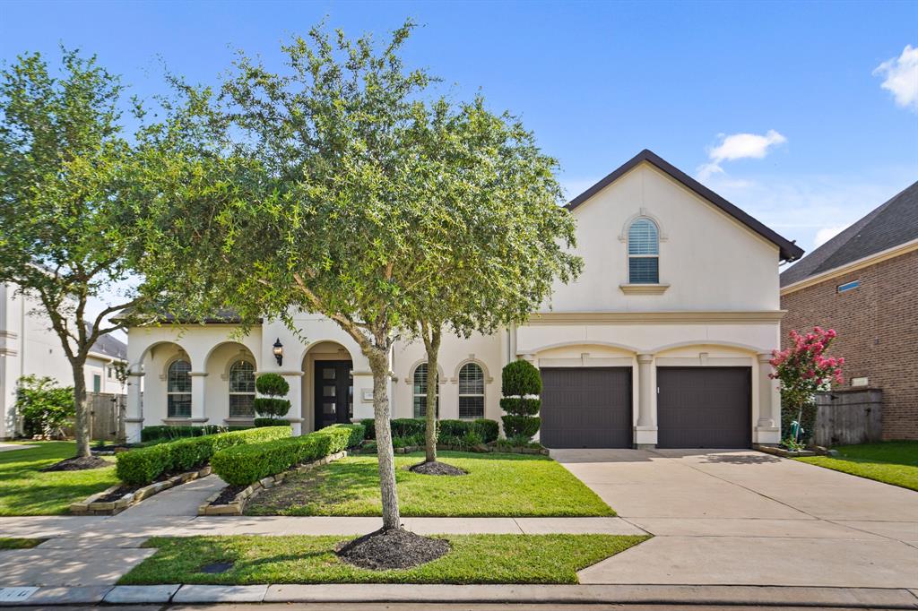 9810 Mount Whitney, Missouri City, Texas image 1