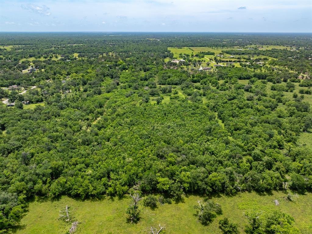 18059 County Road 463, Brazoria, Texas image 10