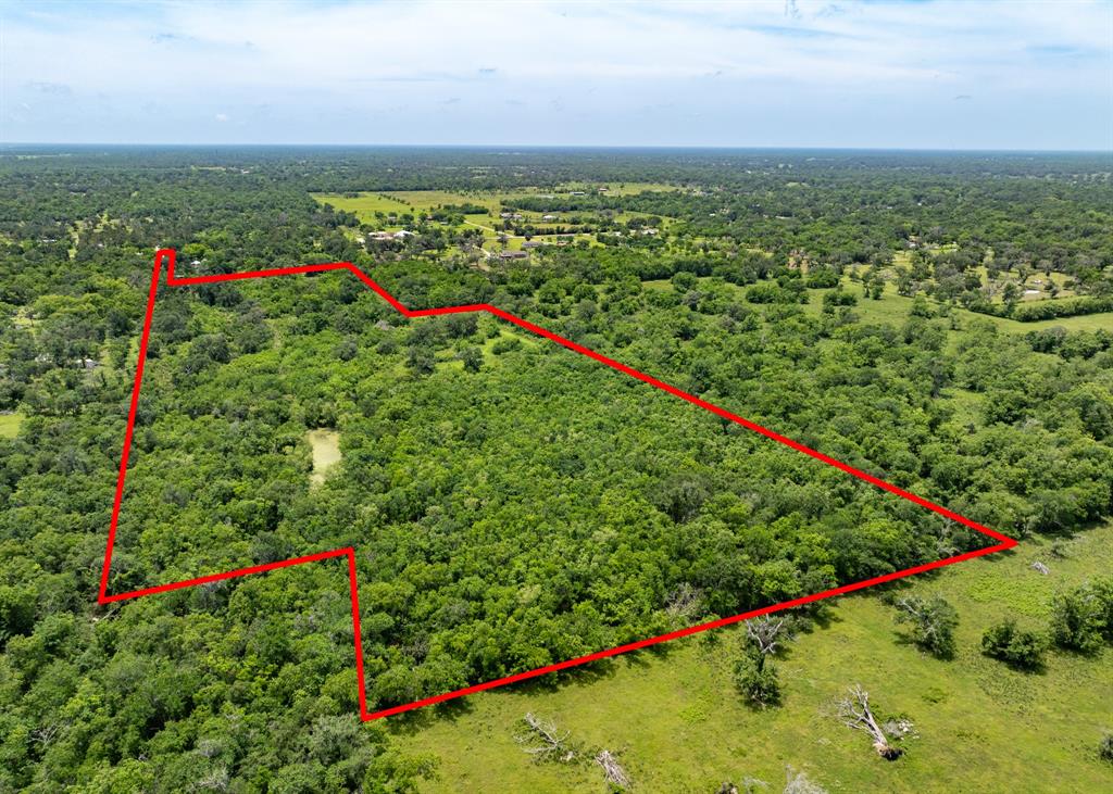 18059 County Road 463, Brazoria, Texas image 7