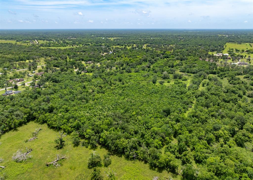 18059 County Road 463, Brazoria, Texas image 12