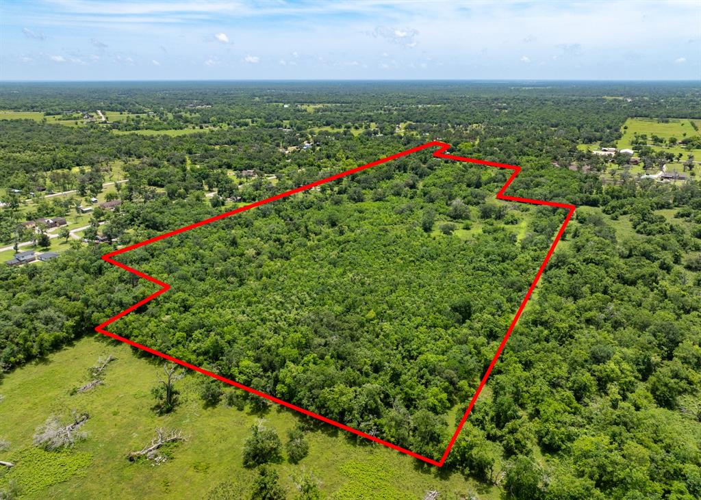 18059 County Road 463, Brazoria, Texas image 11
