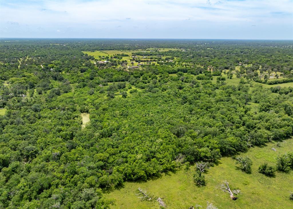 18059 County Road 463, Brazoria, Texas image 8