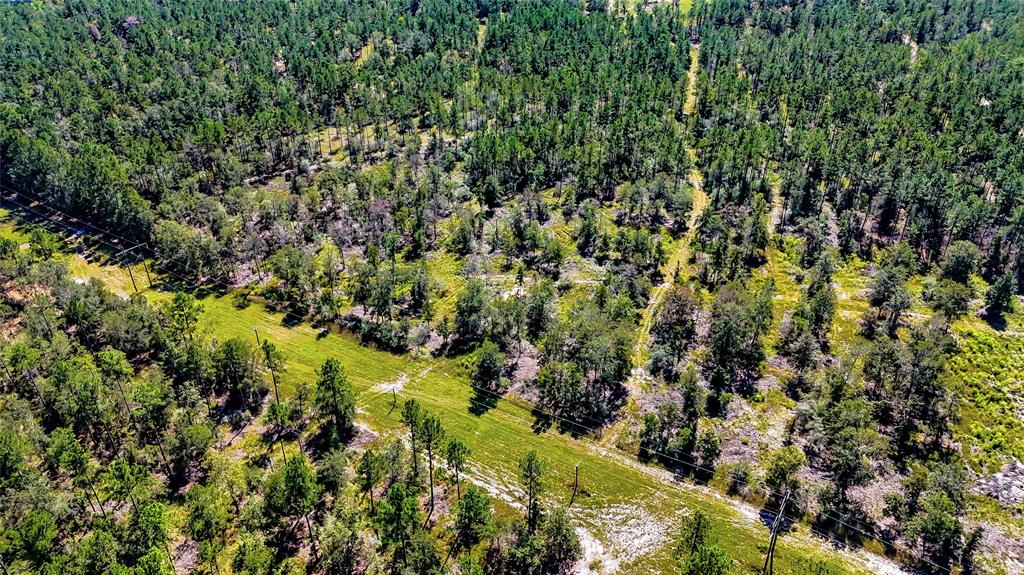 TBD Hwy 287, Corrigan, Texas image 9