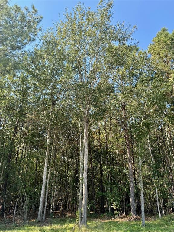 Lot 8 Stonebrook Drive