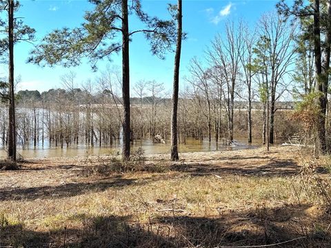 Photo of 3 Fm 83, Broaddus, TX 75929 (MLS # 22125439)
