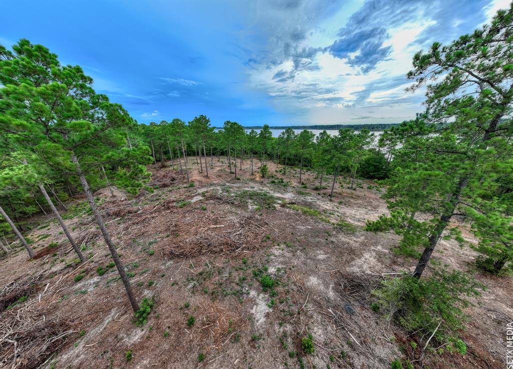 Lot 14 Childress Ranch Drive, Washington, Texas image 10