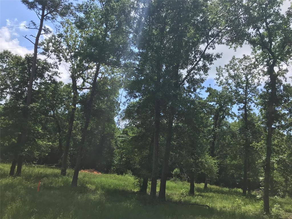 TBD Arrowhead Trail