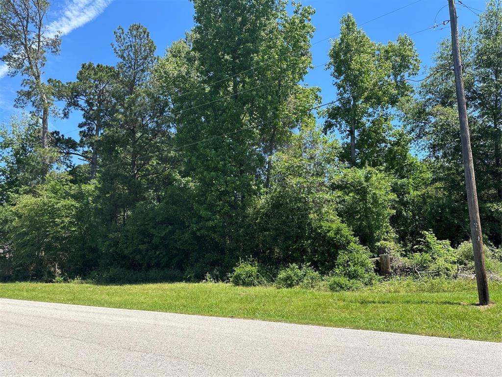 TBA Bridgeview Drive, Onalaska, Texas image 5