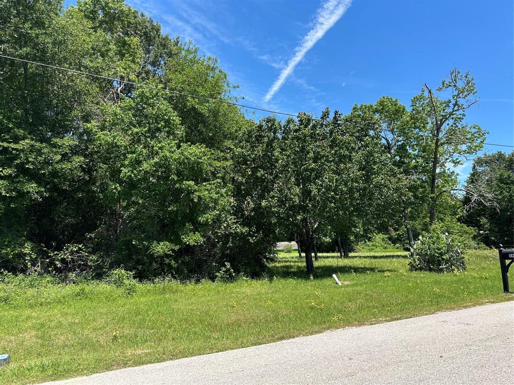 TBA Bridgeview Drive, Onalaska, Texas image 1