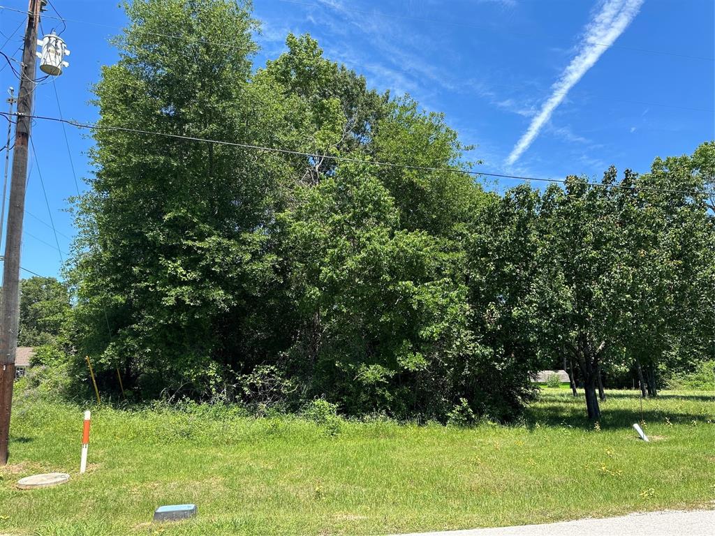 TBA Bridgeview Drive, Onalaska, Texas image 2