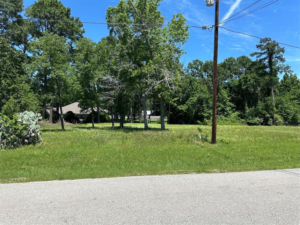 TBA Bridgeview Drive, Onalaska, Texas image 4