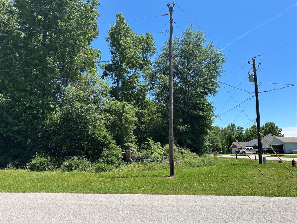 TBA Bridgeview Drive, Onalaska, Texas image 3