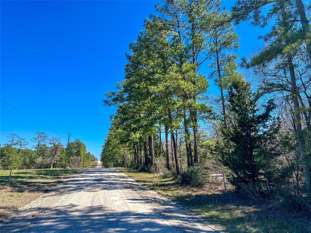 10+/- Acres Round Prairie Rd, Huntsville, Texas image 8