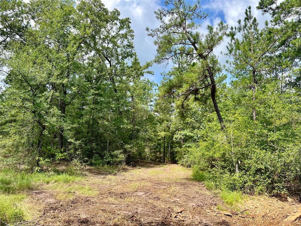 10+/- Acres Round Prairie Rd, Huntsville, Texas image 12