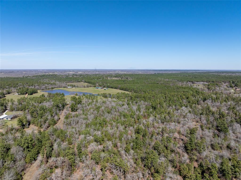 10+/- Acres Round Prairie Rd, Huntsville, Texas image 5