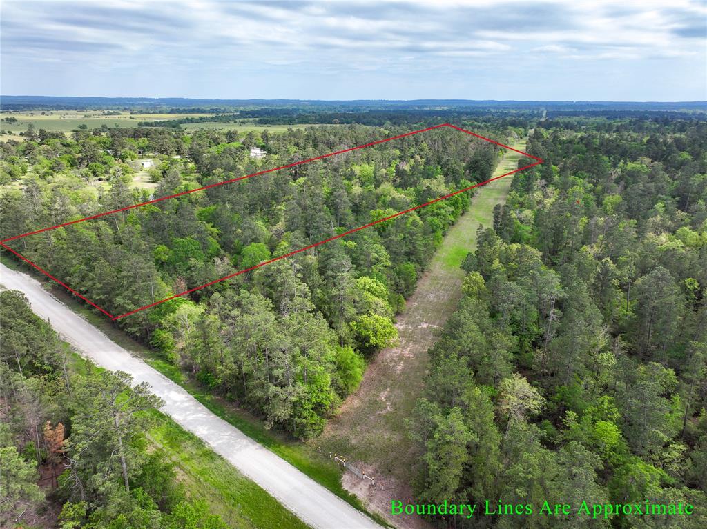 10+/- Acres Round Prairie Rd, Huntsville, Texas image 2