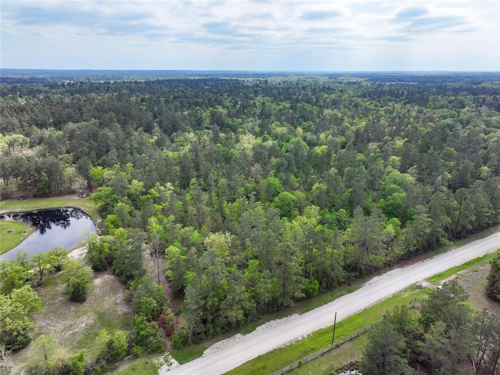 10+/- Acres Round Prairie Rd, Huntsville, Texas image 3