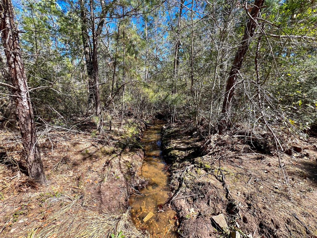 10+/- Acres Round Prairie Rd, Huntsville, Texas image 6