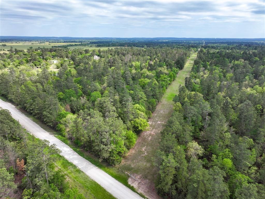 10+/- Acres Round Prairie Rd, Huntsville, Texas image 4