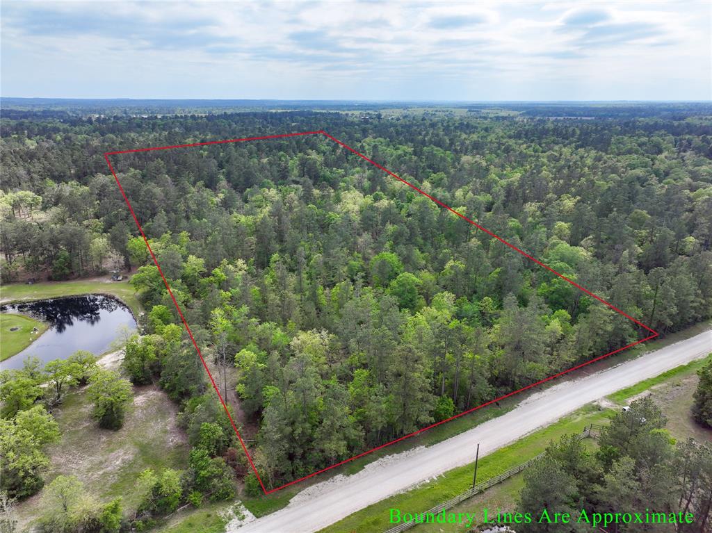 10+/- Acres Round Prairie Rd, Huntsville, Texas image 1