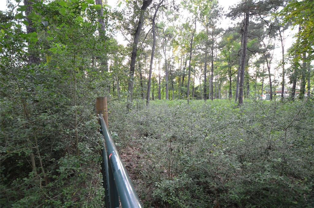 28102 Nichols Sawmill Road, Magnolia, Texas image 30