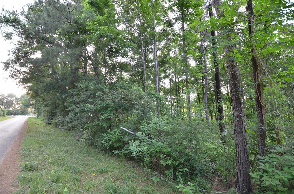 28102 Nichols Sawmill Road, Magnolia, Texas image 25
