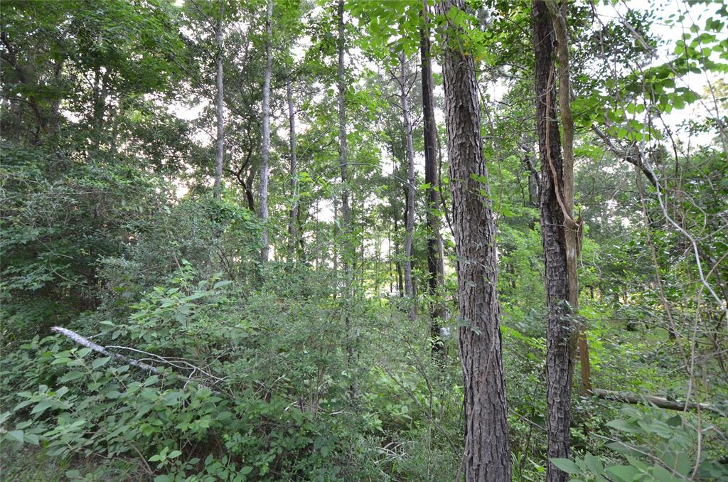 28102 Nichols Sawmill Road, Magnolia, Texas image 26