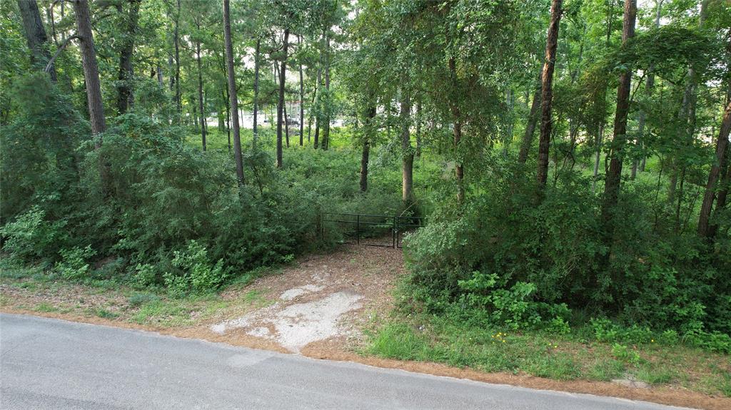 28102 Nichols Sawmill Road, Magnolia, Texas image 4