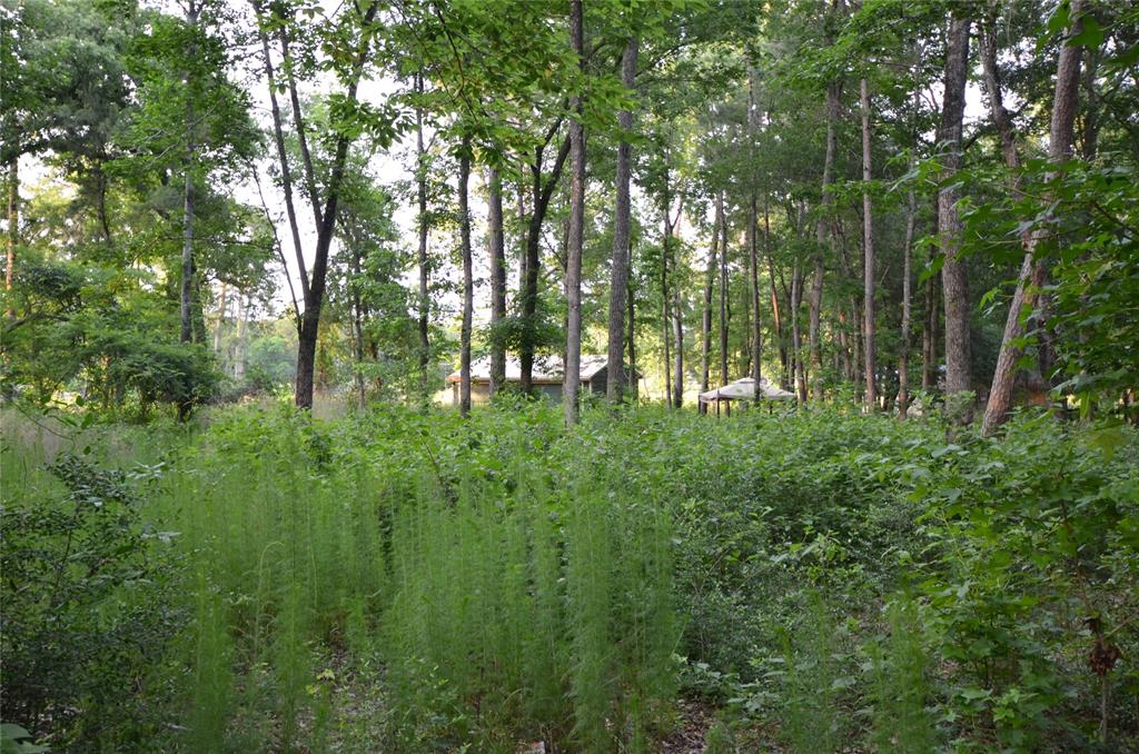 28102 Nichols Sawmill Road, Magnolia, Texas image 27