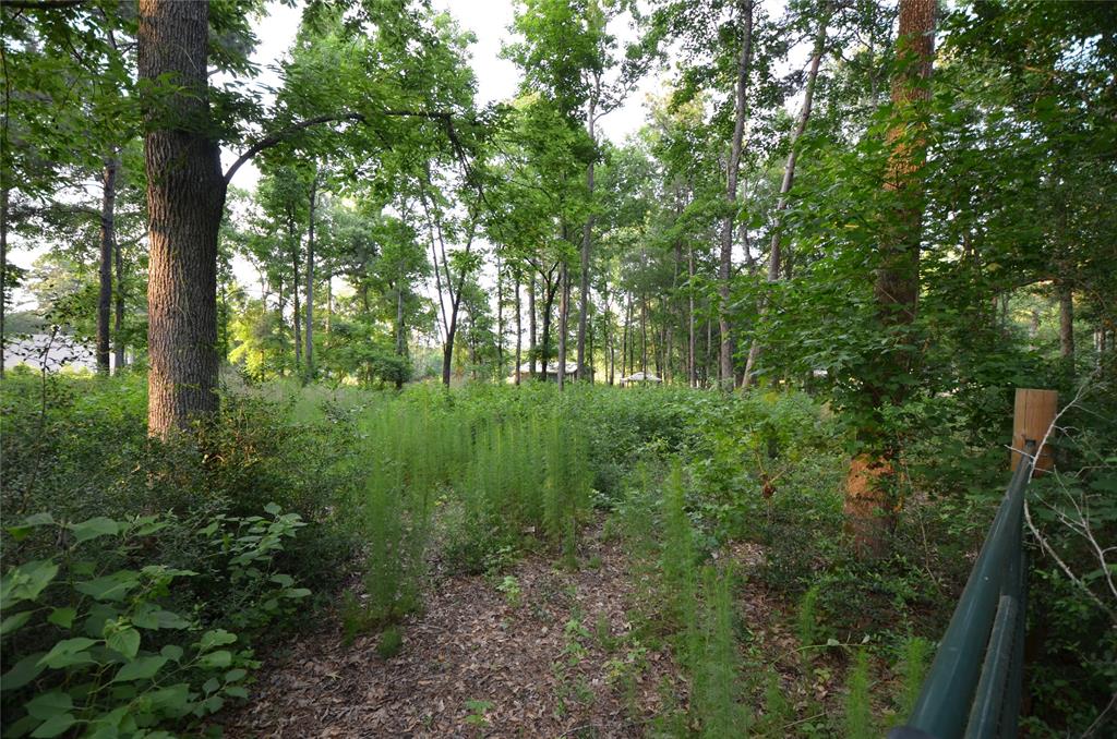 28102 Nichols Sawmill Road, Magnolia, Texas image 19