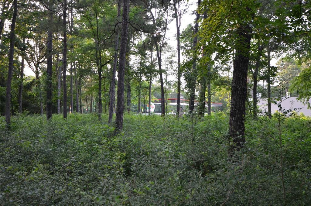 28102 Nichols Sawmill Road, Magnolia, Texas image 28
