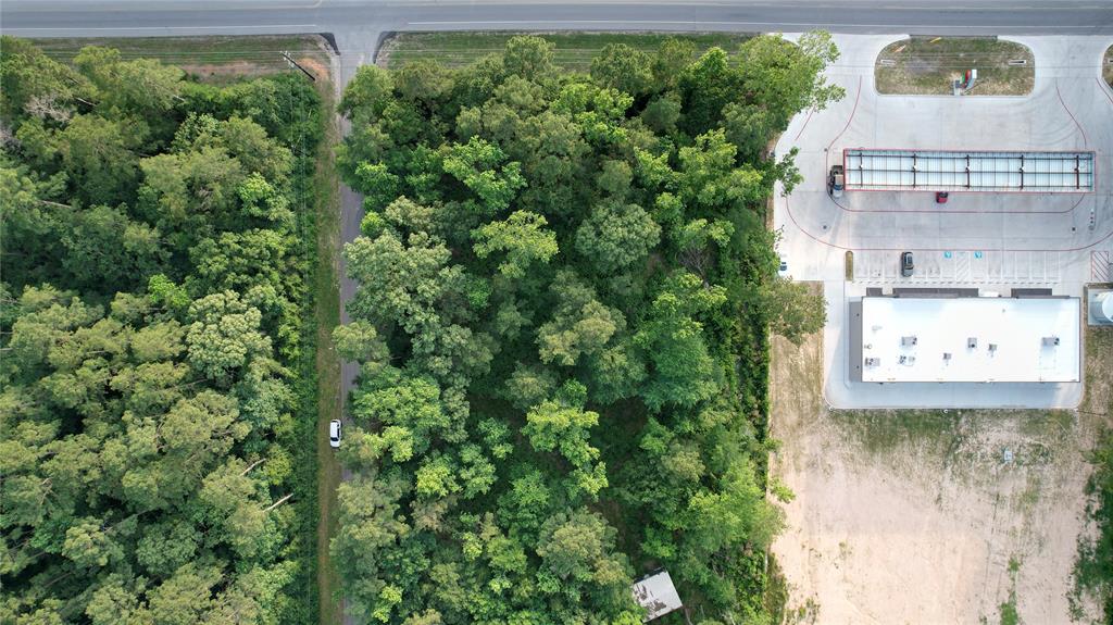 28102 Nichols Sawmill Road, Magnolia, Texas image 5