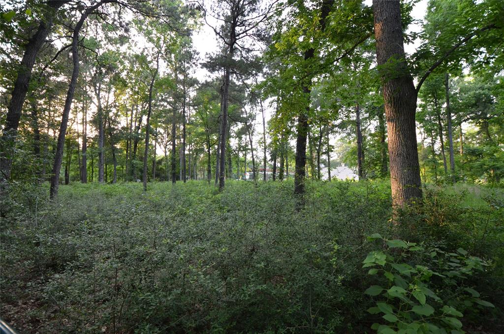 28102 Nichols Sawmill Road, Magnolia, Texas image 22