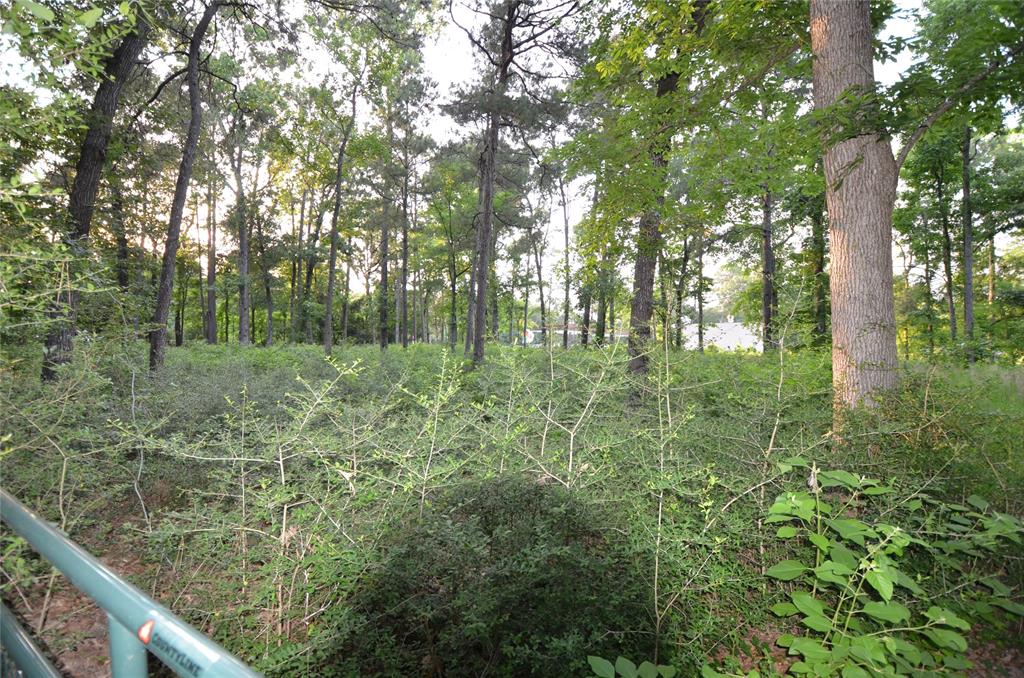 28102 Nichols Sawmill Road, Magnolia, Texas image 20