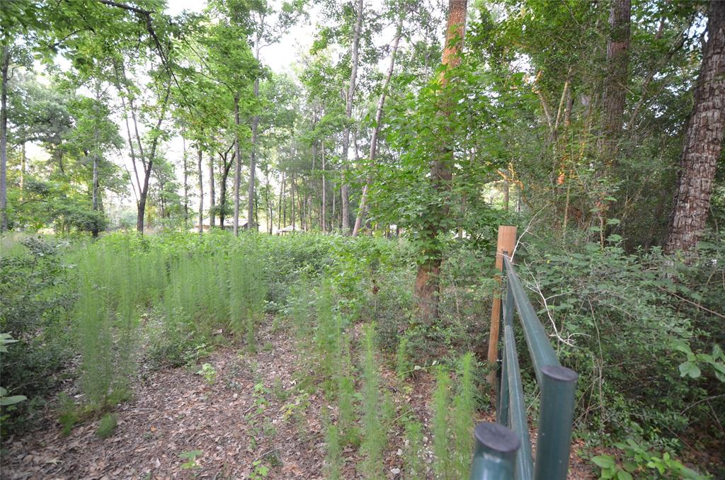 28102 Nichols Sawmill Road, Magnolia, Texas image 29