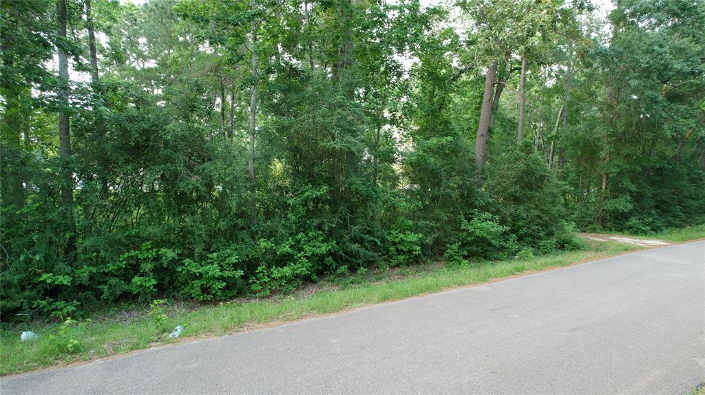 28102 Nichols Sawmill Road, Magnolia, Texas image 17