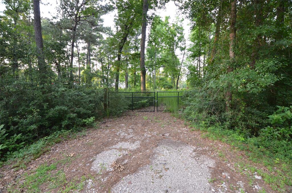 28102 Nichols Sawmill Road, Magnolia, Texas image 23