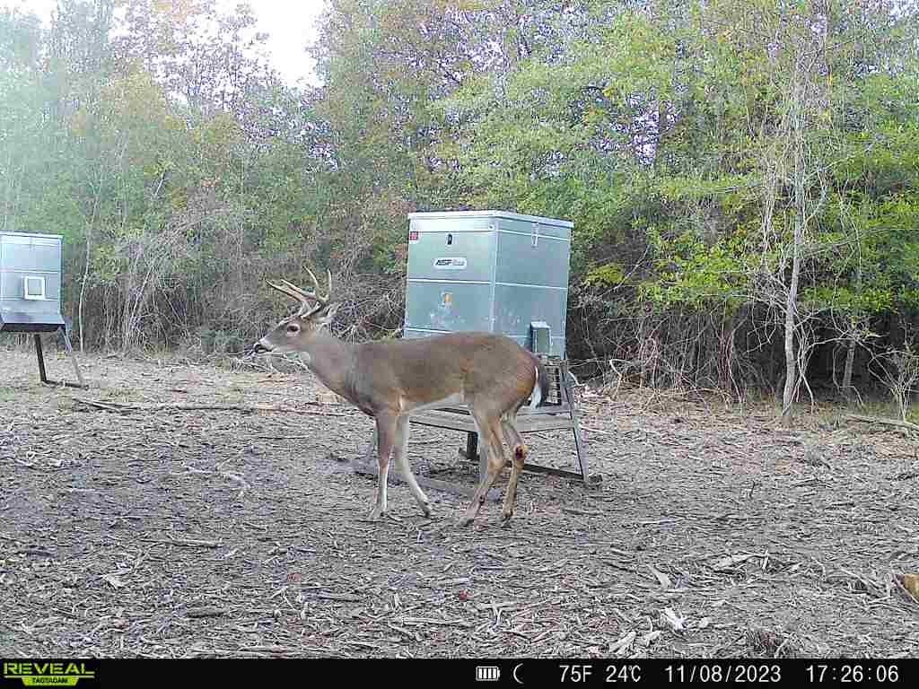 720 County Road 2834, Colmesneil, Texas image 40